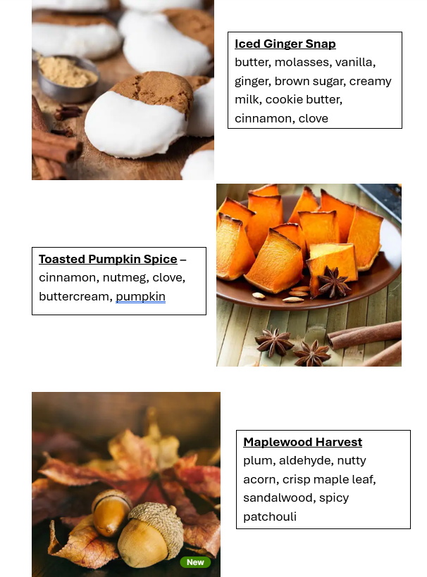 Fall Scents Singles Wax Melt Bundle (12pk)