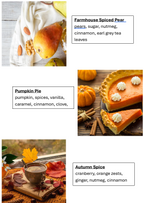 Fall Scents Singles Wax Melt Bundle (12pk)