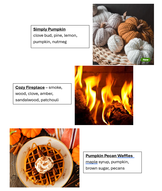 Fall Scents Singles Wax Melt Bundle (12pk)