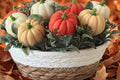 Pumpkin Wax Melts Bouquet
